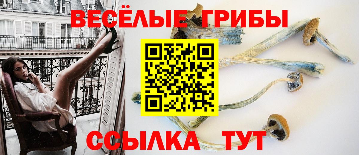 Псилоцибиновые грибы MAGIC MUSHROOMS Биробиджан