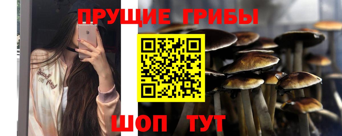 Биробиджан  Галлюциногенные грибы мицелий  Вход с VPN 